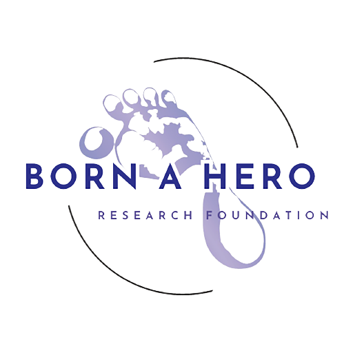 born a hero logo